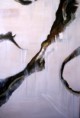 /album/fotogaleria/abstracto-1-jpg1/